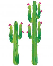 decor-cactus-2-piese