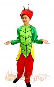 Costum greiere copii