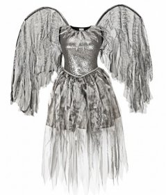 Costum inger decazut cu aripi