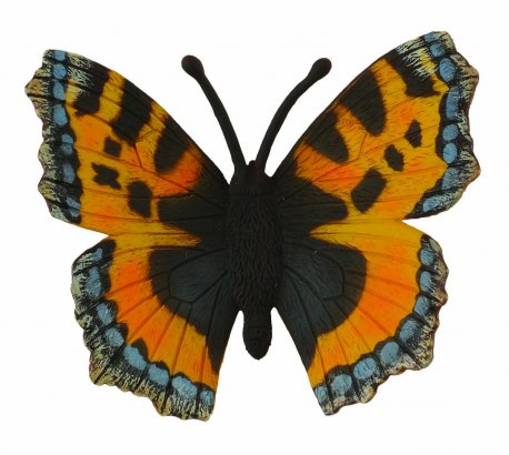 Fluture mic - Collecta