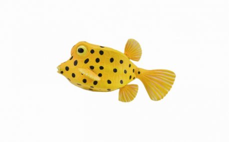 Figurina Peste Cubicus Boxfish S Collecta