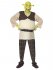 Costum Shrek adult