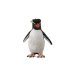Figurina  Pinguin Rockhopper S  Collecta