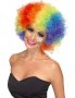 peruca-clown-multicolora