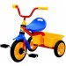 tricicleta-transporter