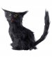 Decor-Halloween-pisica-neagra