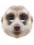 masca-carton-animale-mangusta-suricata